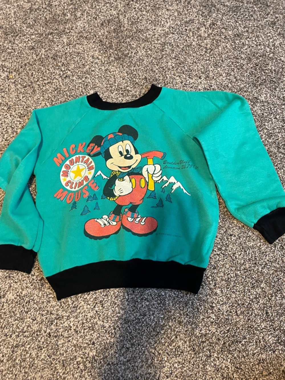 Disney Teal Kids Sweatshirt with Black Trim and Mickey Graphic